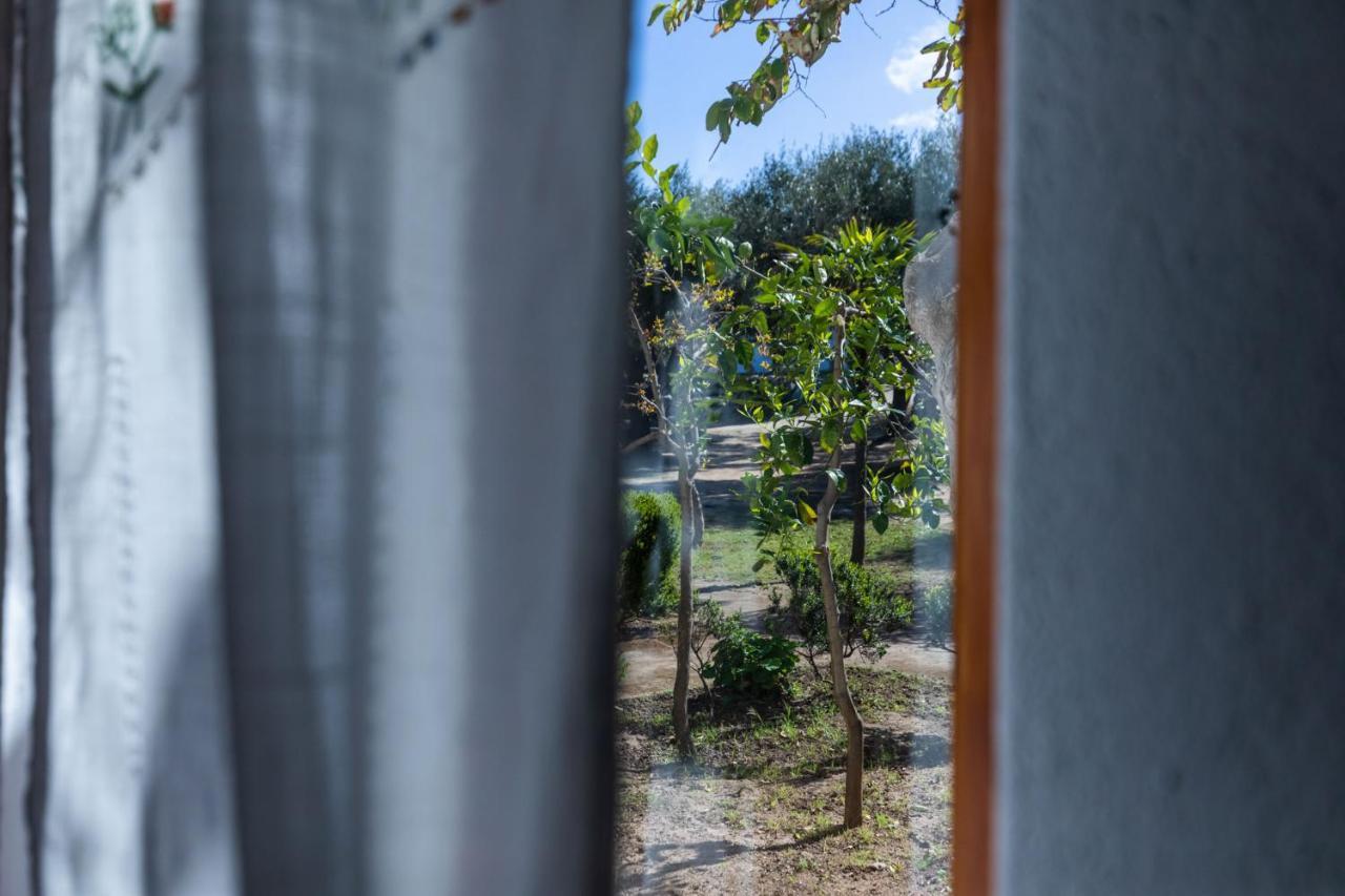 La Meridiana Capo Vaticano Luaran gambar